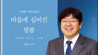 2024-08-11 l 마음에 심어진 말씀ㅣ채영삼 목사ㅣ평촌드림교회 주일예배 주일설교