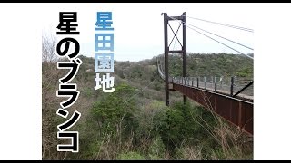 星のブランコ吊り橋　ほしだ園地　大阪府民の森　隠れた名所シリーズ