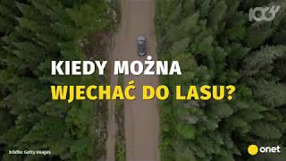 Kiedy można wjechać do lasu? | Onet100