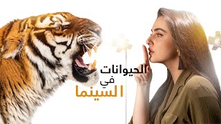 كيف تستطيع الحيوانات التمثيل ؟! | عن السينما