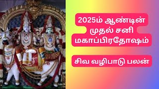 2025ம் ஆண்டின் முதல் சனி மகாப்பிரதோஷம் -  சிவ வழிபாடு பலன்