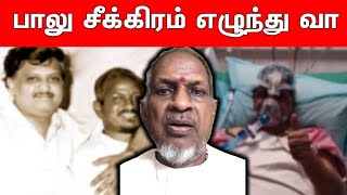 பாலு சீக்கிரம் எழுந்து வா - மனம் உருகிய இளையராஜா | Illayaraja About SPB