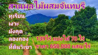 EP399.สวนผลไม้ผสม จันทบุรี 139 ไร่ ราคา6.5แสน/ไร่ ที่ดินวิวเขา สนใจติดต่อ 0981473498,0887902134