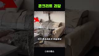 콘크리트 잘모르면 목숨이 위험한 이유