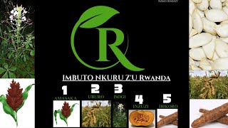 IBIKANYITO:IMBUTO NKURU ZU RWANDA(RWANDAN History)