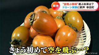 特産の“柿”が初めて空を飛ぶ「時代も変わった…」農家の高齢化や人手不足の解消なるか