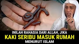 JANGAN ABAIKAN !! Ini Pertanda Jika Kaki Seribu Masuk Rumah Menurut Islam