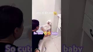 Aj toh pit gaya #dog #doglover #puppy #cute #love #thoibeesvlog