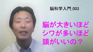 【一般向け／脳科学入門】003_動物たちと人間の脳を比べてみる