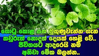 ගොටු කොළ සහ මුකුණුවැන්න ගැන කවුරුත් නොදත් දෙයක් හෙළි වේ.. ජීවිතයට ආදරෙයි නම් අනිවා මේක බලන්න.