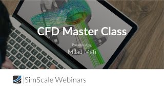 CFD Master Class: Multiphase Flow Systems