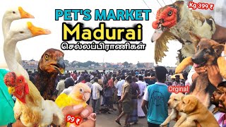 வீட்டில் இருந்து சந்தைக்கு நேரடி விற்பனை Sunday Ped market near simmakkal low price.