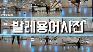 [발레용어사전] 프롤로그!!! /Ballet Terminology Dictionary - Prologue