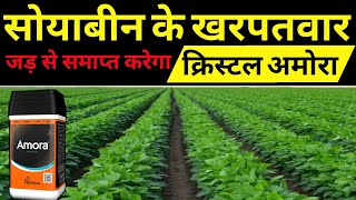 Cristal Amora | खरपतवार नाशक | सोयाबीन | soybean kharpatvar | fomesafen 12% + Quizalfop Ethyl 3% SC