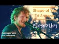 Shape Of You   - Ed Sheeran  (speed up)