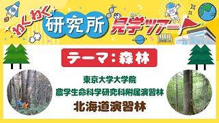 わくわく研究所見学ツアー「テーマ：森林」