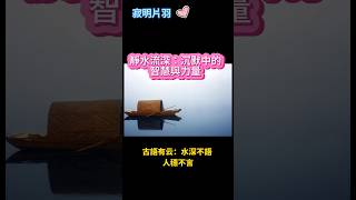 ［寂明片羽］靜水流深：沉默中的智慧與力量