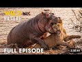 Giants vs Lions (FULL EPISODE) | The Most Brutal Survival Battles | Animal documentary