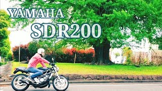 異次元へワープ！？２ストバイクSDR２００【YAMAHA/絶滅危惧車】