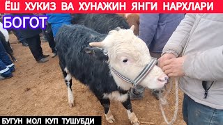 ЁШ ХУКИЗ ВА ХУНАЖИН АНИК НАРХЛАРИ ХОРАЗМ БОГОТ МОЛ БОЗОРИ 29 ЯНВАРЬ 2025-ЙИЛ !!! ХОРАЗМ ОБЗОР