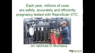 Cattle Extension Arm Ultrasound Training and Demonstration Video