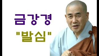 종범스님 법문-“금강경 발심”