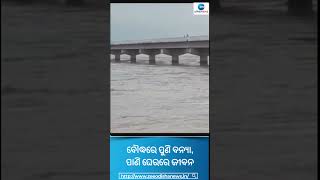 ବୌଦ୍ଧରେ ପୁଣି ବନ୍ୟା, ପାଣି ଘେରରେ ଜୀବନ  #Boudh #Flood #Shorts