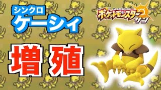 【ポケモン　サンムーン】大量タマゴ孵化の方法　シンクロケーシィ増殖【最強トレーナーへの道】＃４