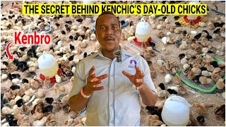 How Kenchic Poultry Company is Changing Farming in East Africa