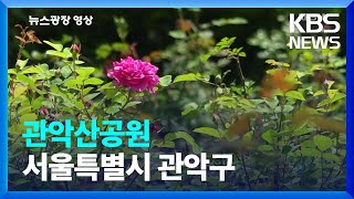 [뉴스광장 영상] 관악산공원 / KBS  2023.05.30.