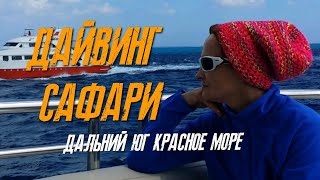 Дайвинг сафари. Дальний Юг Красное море. Яхта BETELGUESER. Дайвинг в Египте.