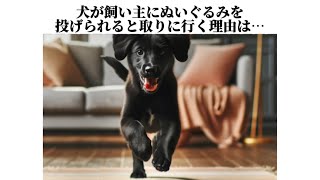 【いつもごめんね】犬の本音の秘密が可愛すぎて泣けます😢犬の知って損しない秘密15選。