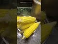 వర్షంలో వేడి వేడి స్వీట్ 🌽 boiled sweetcorn sweetcorn food rain ytshorts