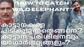 കാട്ടാനയെ പിടിക്കുന്നതെങ്ങനെ?( How To Catch Wild Elephants) എങ്ങനെ കരകയറ്റാം? ചില യാഥാത്ഥ്യങ്ങൾ