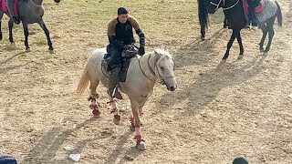 Shahrisabzdan Arslon polvon Ot Chiroqchidan Mashrabxon eshon boboni Admeral bilan yakka qildi.