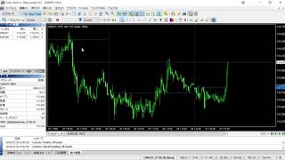 ForexTester用 daily_open_line インジケーター (FT6,FT5,FT4,FT3,FT2 対応)