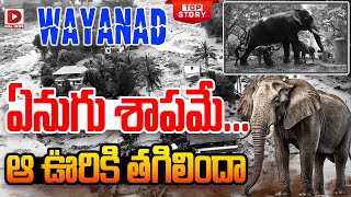 TOPSTORY : గజరాజుల శాపమే కారణమా || is Elephant Curse to Wayanad || Wayanad Land Sliding || Dial News