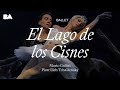 El Lago de los Cisnes | Teatro Colón | 2020