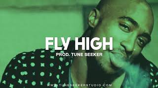 G-funk Rap Beat West Coast Hip Hop Instrumental - Fly High (prod. by Tune Seeker)
