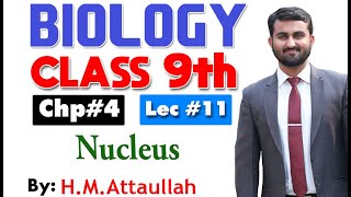 Nucleus | Chapter 4 | 9th class Biology | Lec.11