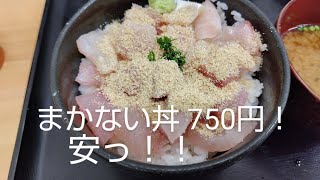 【魚辰食堂】魚市場の中にある定食屋は海鮮丼の超穴場だった！