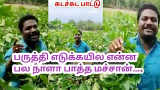 பருத்தி எடுக்கையிலே|| என்ன பல நாளா பார்த்த மச்சான்|| செம குத்து.. 😧