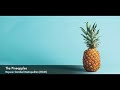 The Pineapples-Rayuan Gombal Metropolitan (RGM)