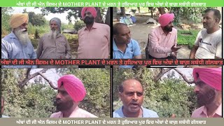 🥭🥭🥭🥭 ਅੰਬਾਂ ਦੀ ਜੀ ਐਨ ਕਿਸਮ ਦੇ mother plant ਦੇ ਮਰਨ ਤੇ ਹੁਸ਼ਿਆਰ ਪੁਰ ਵਿਚ ਅੰਬਾਂ ਦੇ ਬਾਗ਼ ਸਬੰਧੀ ਗੱਲਬਾਤ ।🥭🥭🥭🥭