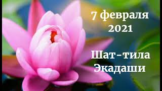 Не пропустите! 7 февраля 2021 Шат-тила Экадаши. Благодаря этому экадаши невезение и бедность уходят