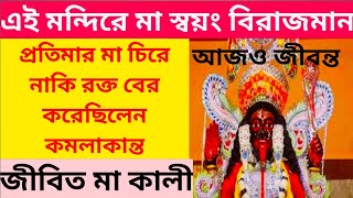 Bardhaman Kamalakanta Kali bari.  কমলাকান্ত কালী বাড়ি বর্ধমান।। জীবন্ত কালী।।