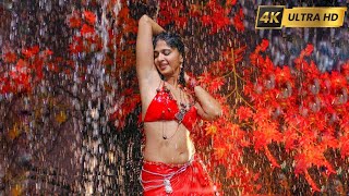 Rangu Rangu 4K Video Song | Baladoor | Ravi Teja, Anushka Shetty