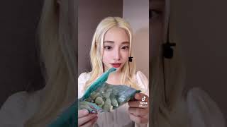 💚민초파 모여라!!💚 민초볼 #먹방asmr #먹방 #shorts