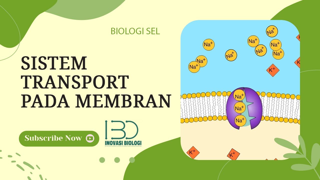 Sistem Transport Membran (Transport Aktif, Transport Pasif, Difusi ...