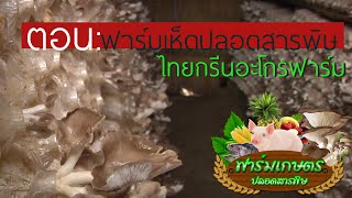 รายการ ฟาร์มเกษตรปลอดสารพิษ 8 ตอน ฟาร์มเห็ดปลอดสารพิษ ไทยกรีนอะโกรฟาร์ม (HD)